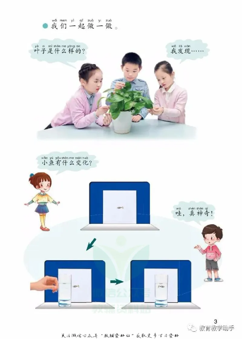 一年级上册科学青岛版五四制电子课本_全部版本&bull;小学科学电子课本_青岛版54制小学科学课本