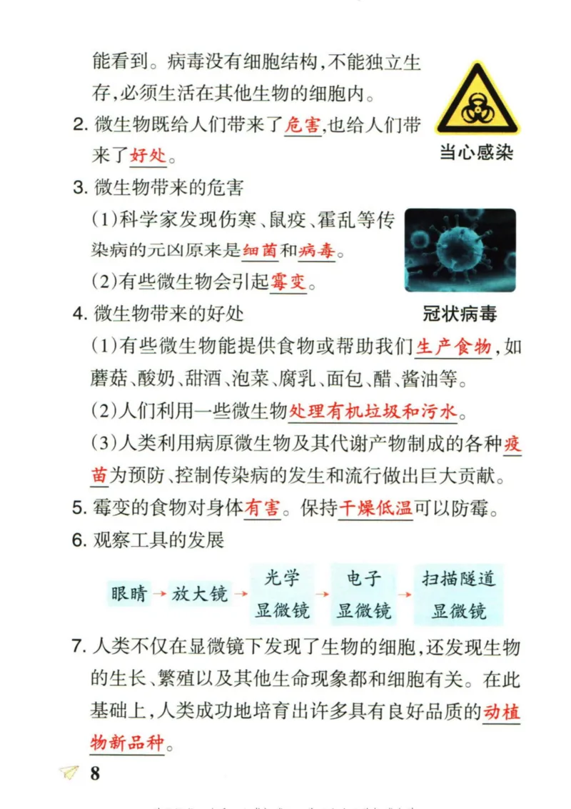 6年科学上册《基础知识手册》 教科版