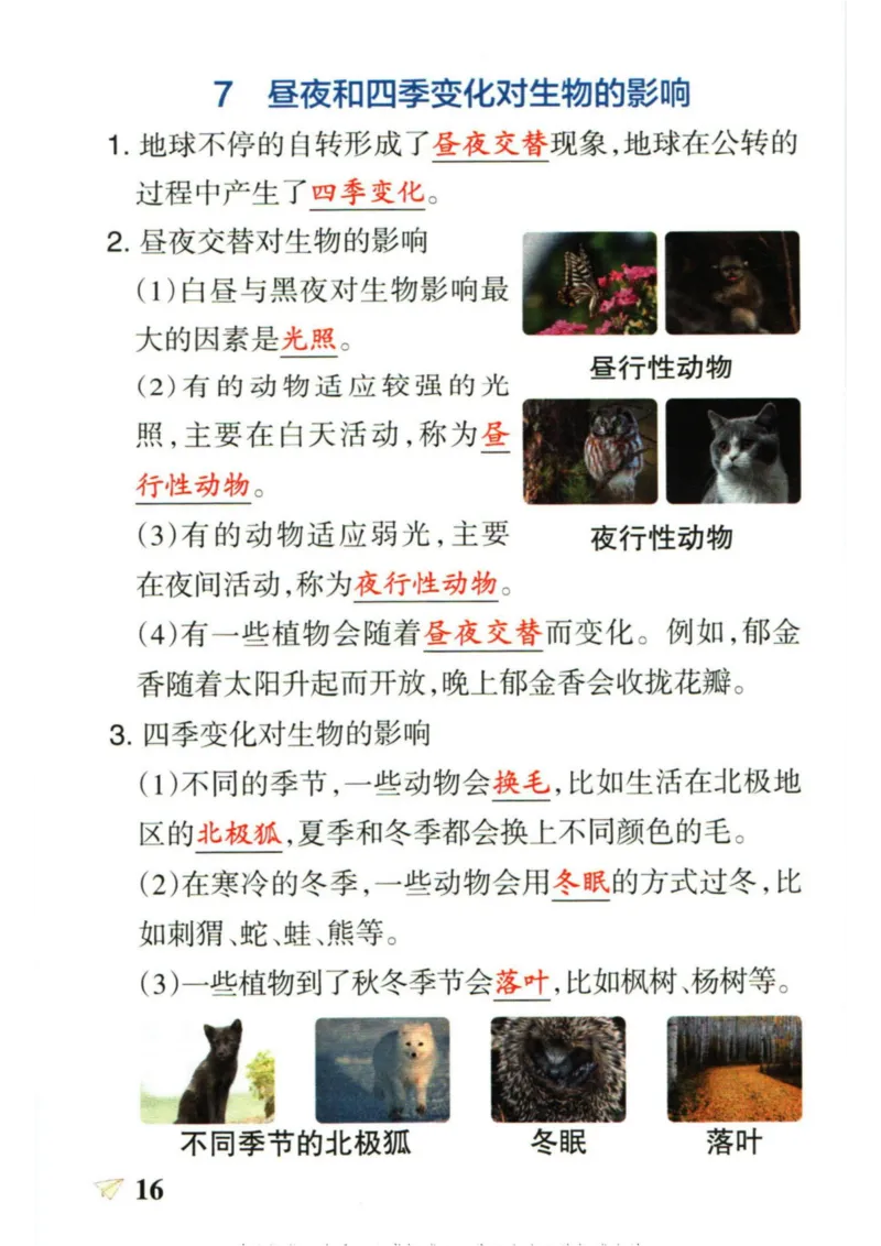 6年科学上册《基础知识手册》 教科版