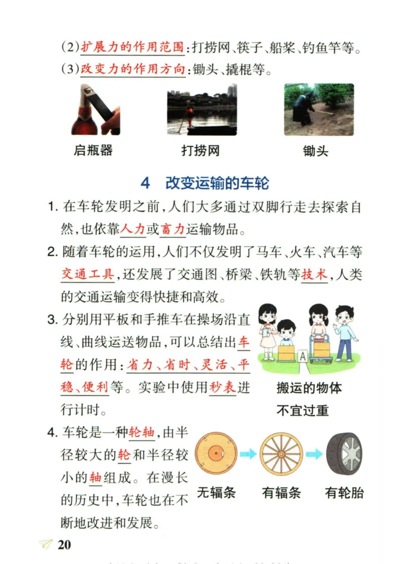 6年科学上册《基础知识手册》 教科版