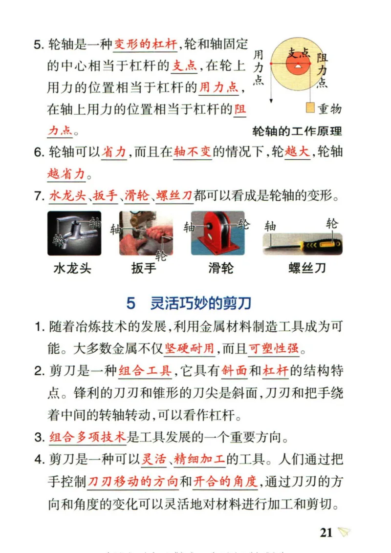 6年科学上册《基础知识手册》 教科版