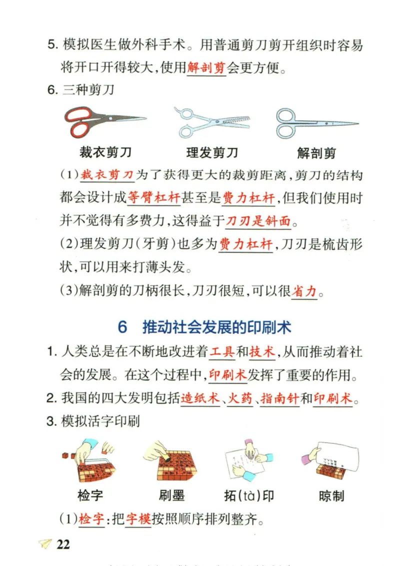 6年科学上册《基础知识手册》 教科版