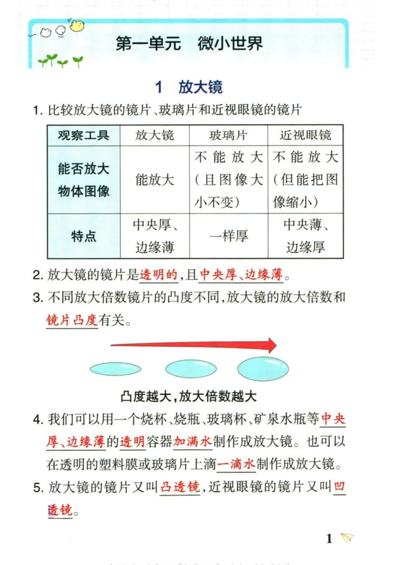 6年科学上册《基础知识手册》 教科版