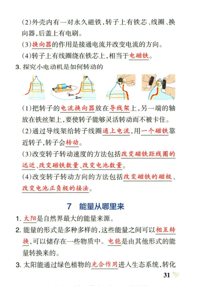 6年科学上册《基础知识手册》 教科版