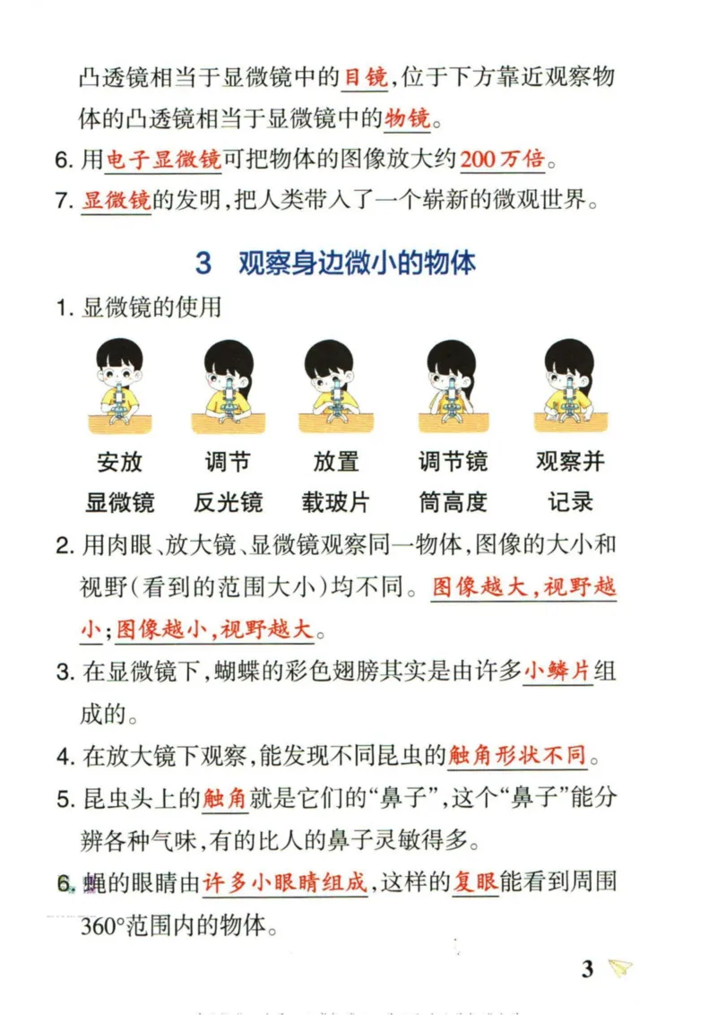 6年科学上册《基础知识手册》 教科版