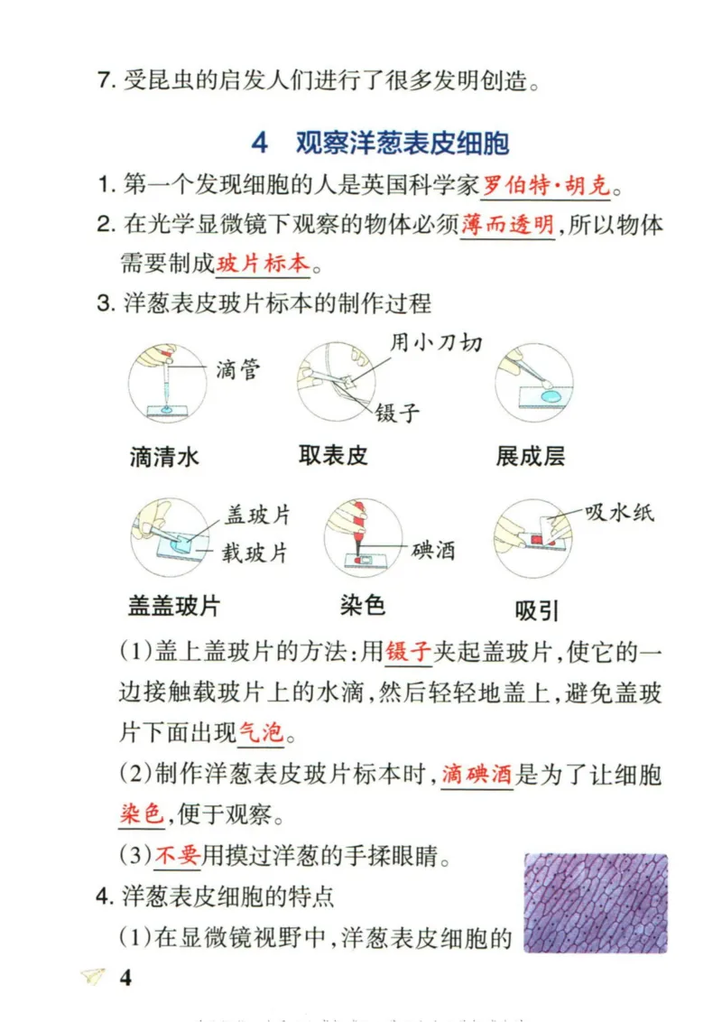 6年科学上册《基础知识手册》 教科版