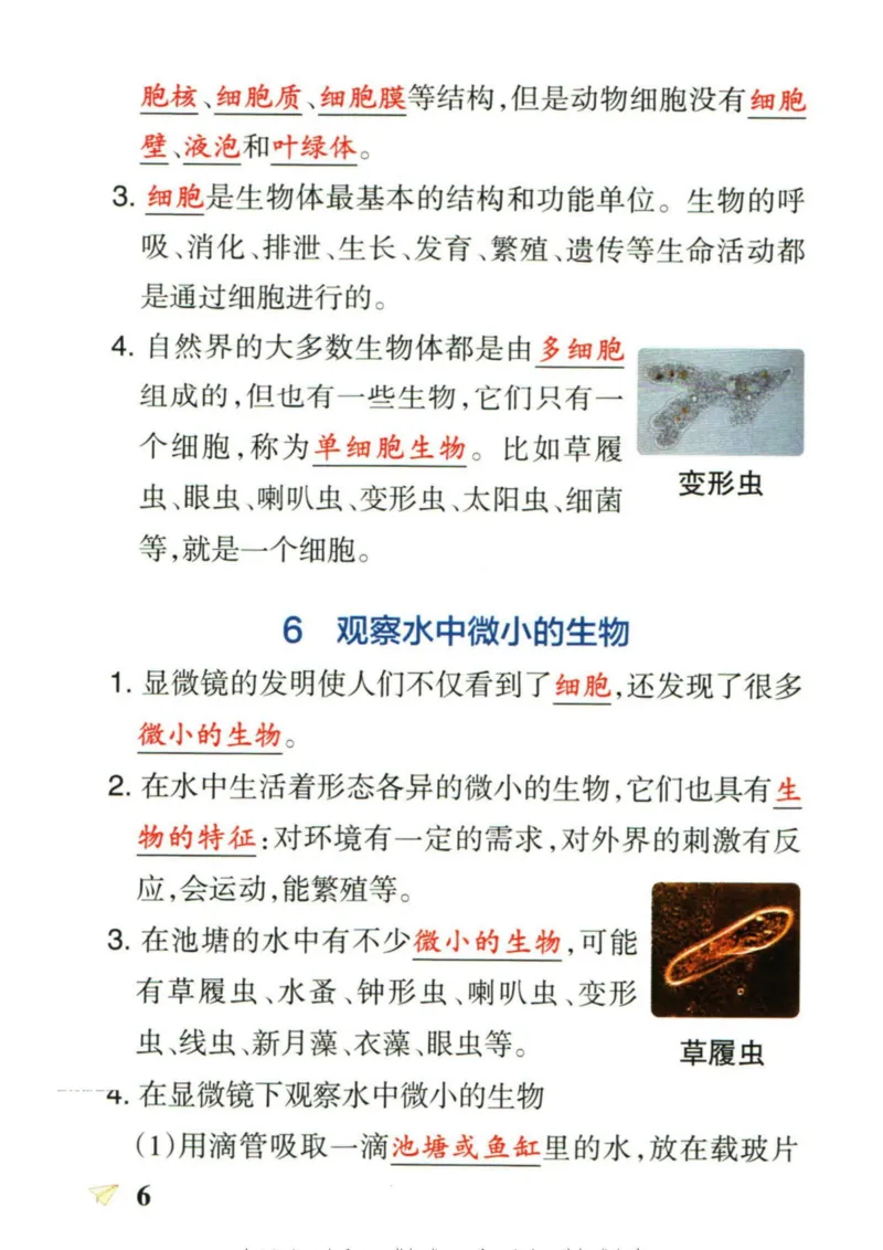 6年科学上册《基础知识手册》 教科版