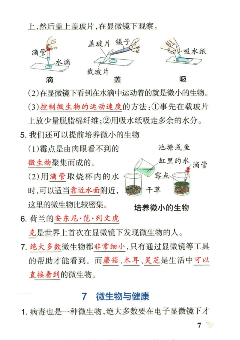 6年科学上册《基础知识手册》 教科版