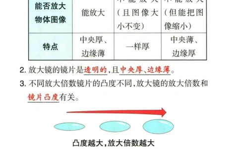 6年科学上册《基础知识手册》 教科版