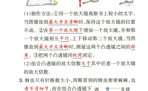 6年科学上册《基础知识手册》 教科版
