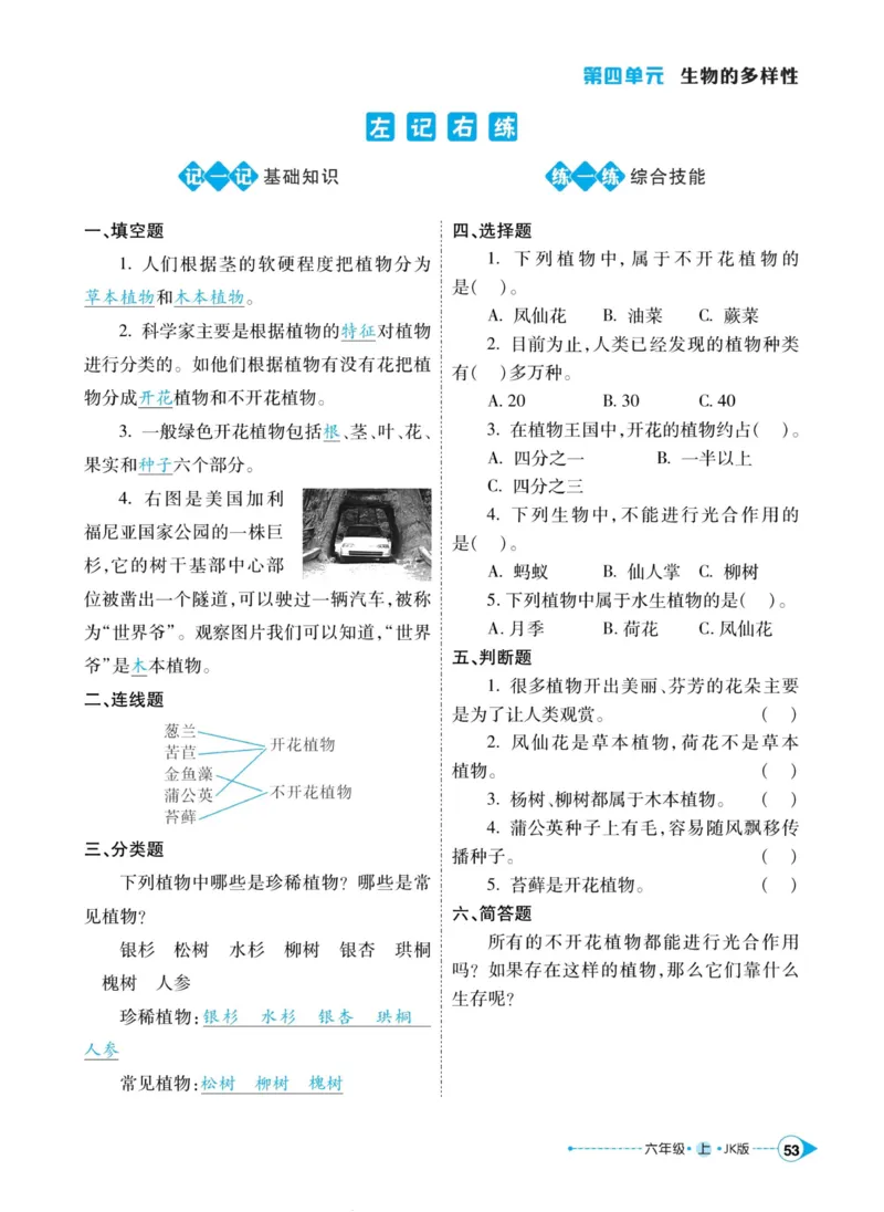 科学教科版左记右练6年级上册_2024年人教版小学数学一二三四五六年级上册下册期中期末试a0747_小学全科《同步练习+精品试卷》打包下载（1-6年级单元月考期中期末试卷）_小学科学