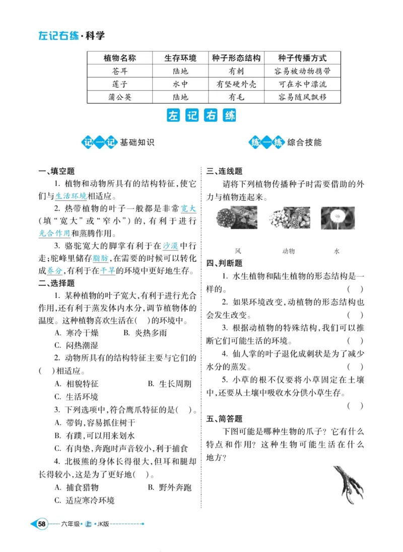 科学教科版左记右练6年级上册_2024年人教版小学数学一二三四五六年级上册下册期中期末试a0747_小学全科《同步练习+精品试卷》打包下载（1-6年级单元月考期中期末试卷）_小学科学