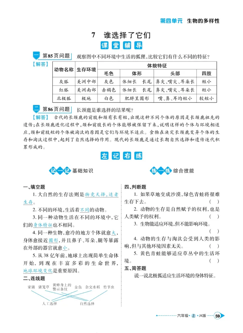 科学教科版左记右练6年级上册_2024年人教版小学数学一二三四五六年级上册下册期中期末试a0747_小学全科《同步练习+精品试卷》打包下载（1-6年级单元月考期中期末试卷）_小学科学