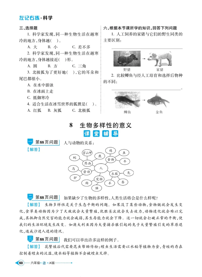 科学教科版左记右练6年级上册_2024年人教版小学数学一二三四五六年级上册下册期中期末试a0747_小学全科《同步练习+精品试卷》打包下载（1-6年级单元月考期中期末试卷）_小学科学