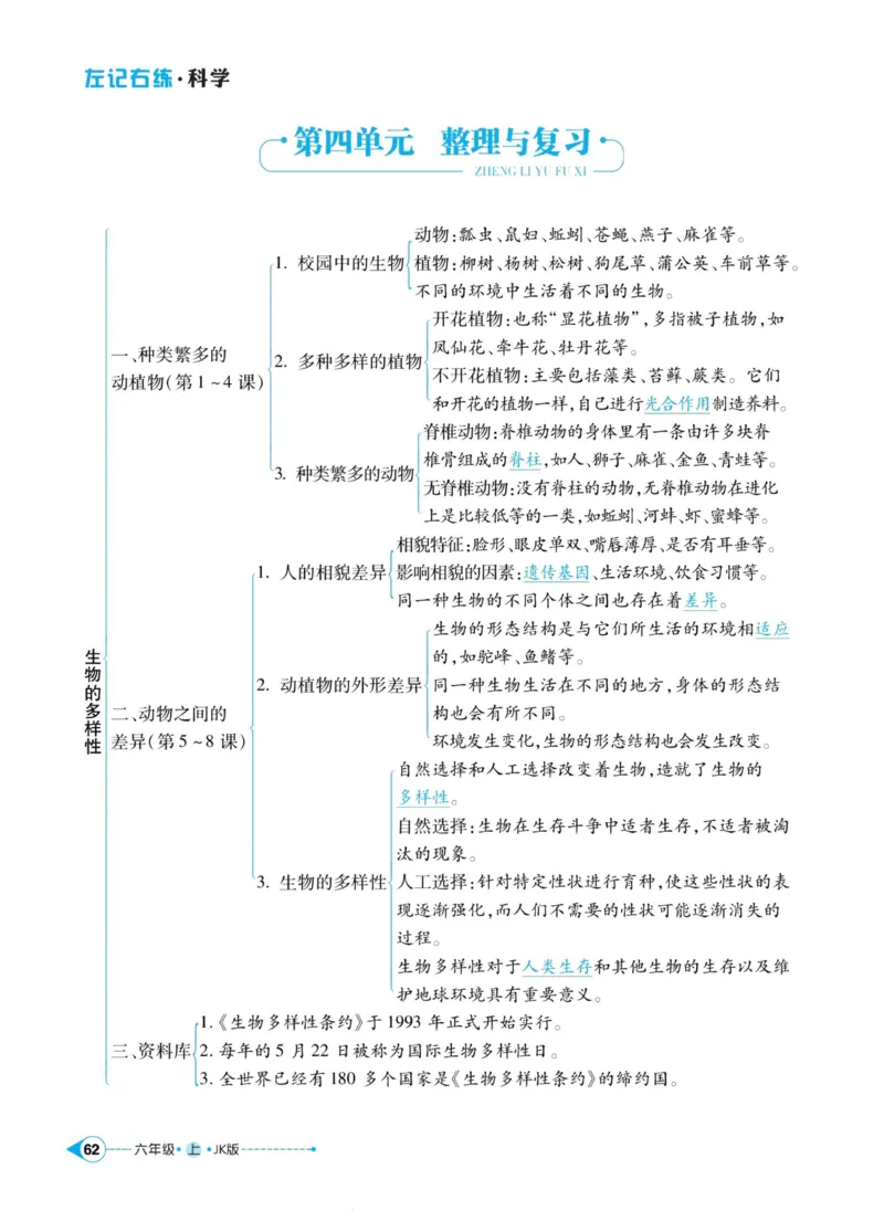 科学教科版左记右练6年级上册_2024年人教版小学数学一二三四五六年级上册下册期中期末试a0747_小学全科《同步练习+精品试卷》打包下载（1-6年级单元月考期中期末试卷）_小学科学