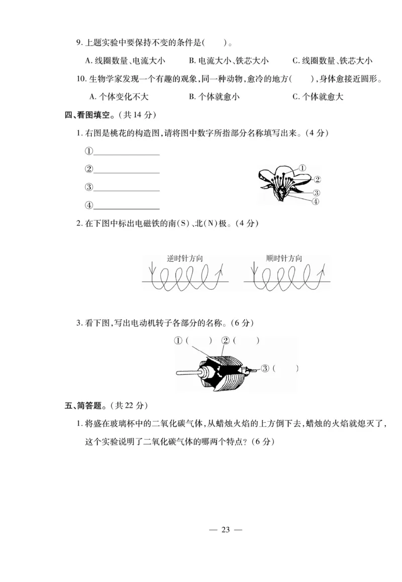 小升初大集结科学_2024年人教版小学数学一二三四五六年级上册下册期中期末试a0747_小学全科《同步练习+精品试卷》打包下载（1-6年级单元月考期中期末试卷）_小升初中总复习