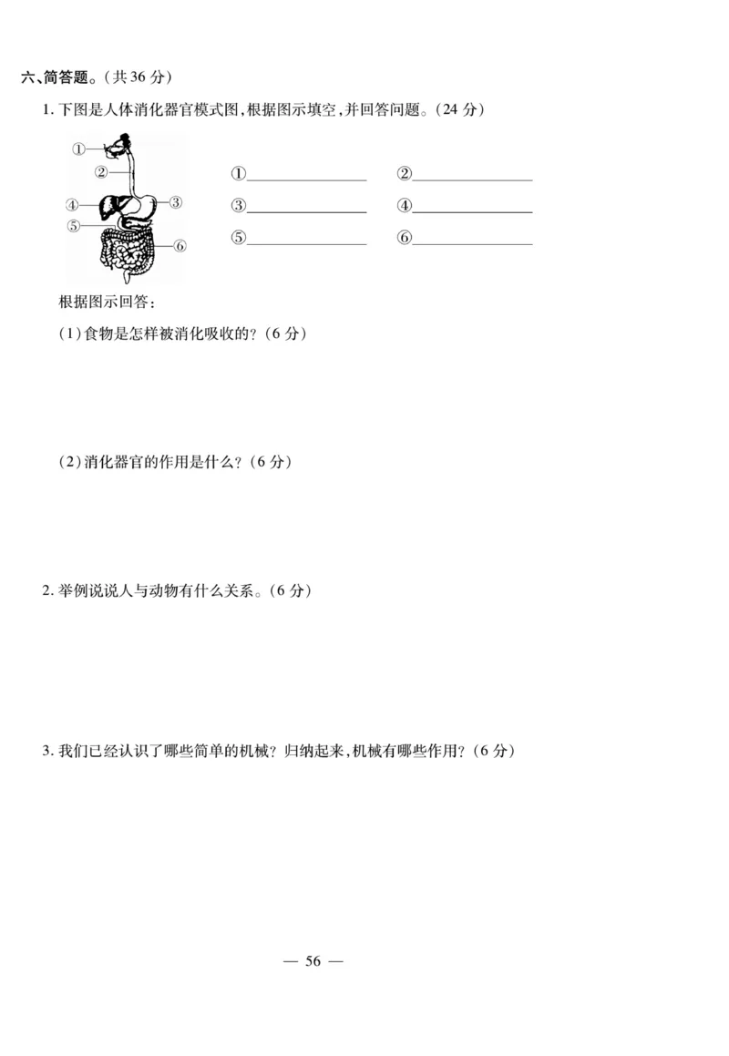 小升初大集结科学_2024年人教版小学数学一二三四五六年级上册下册期中期末试a0747_小学全科《同步练习+精品试卷》打包下载（1-6年级单元月考期中期末试卷）_小升初中总复习