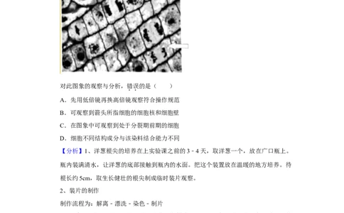 2019年高考生物试卷（北京）（解析卷）_生物历年高考真题_新&middot;Word版2008-2025&middot;高考生物真题_生物（按年份分类）2008-2025_2019&middot;高考生物真题