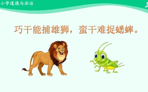 16学习有方法_课件_二年级上下册资料_小学二年级学习资料-25年更新版_2-08、小学二年级道德与法治下册_课时练与课件