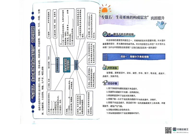 暑假轻松升级科学小升初_2024年人教版小学数学一二三四五六年级上册下册期中期末试a0747_小学全科《同步练习+精品试卷》打包下载（1-6年级单元月考期中期末试卷）_小学科学