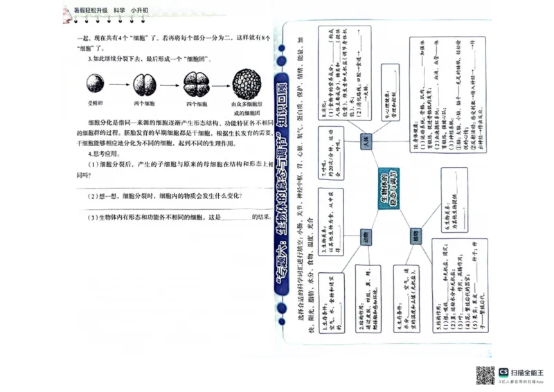 暑假轻松升级科学小升初_2024年人教版小学数学一二三四五六年级上册下册期中期末试a0747_小学全科《同步练习+精品试卷》打包下载（1-6年级单元月考期中期末试卷）_小学科学