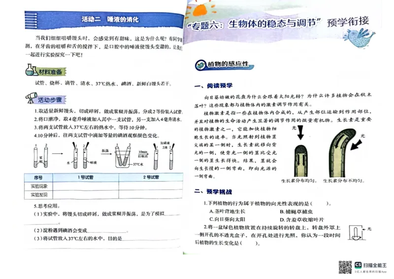 暑假轻松升级科学小升初_2024年人教版小学数学一二三四五六年级上册下册期中期末试a0747_小学全科《同步练习+精品试卷》打包下载（1-6年级单元月考期中期末试卷）_小学科学