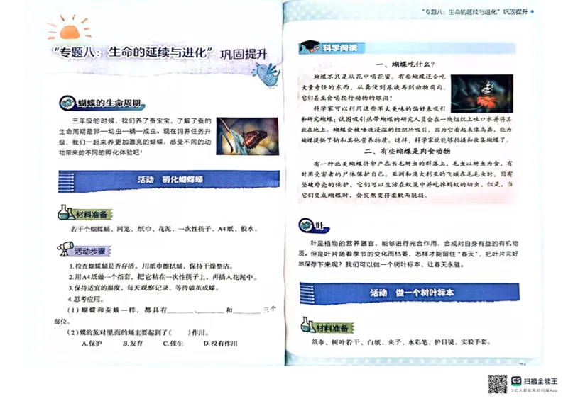 暑假轻松升级科学小升初_2024年人教版小学数学一二三四五六年级上册下册期中期末试a0747_小学全科《同步练习+精品试卷》打包下载（1-6年级单元月考期中期末试卷）_小学科学