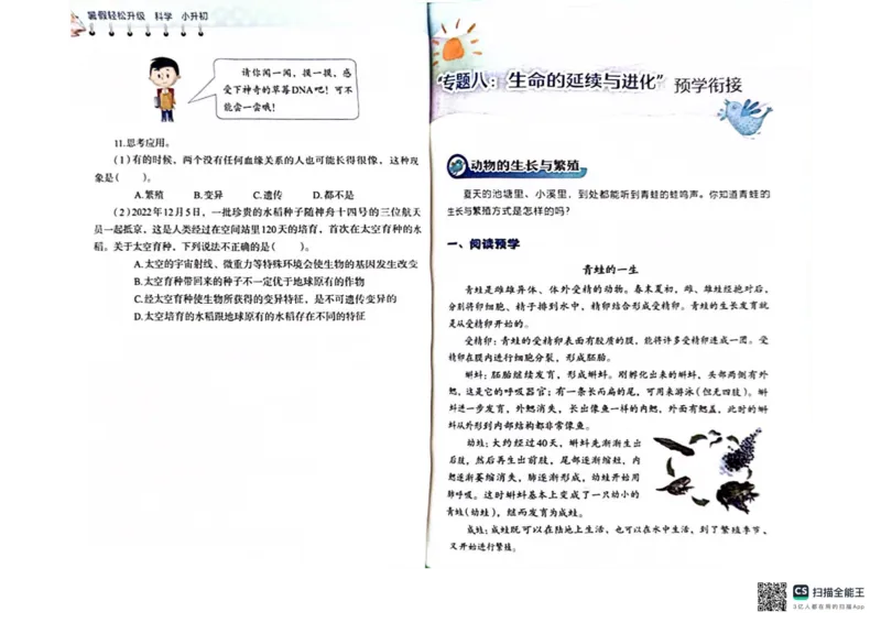 暑假轻松升级科学小升初_2024年人教版小学数学一二三四五六年级上册下册期中期末试a0747_小学全科《同步练习+精品试卷》打包下载（1-6年级单元月考期中期末试卷）_小学科学