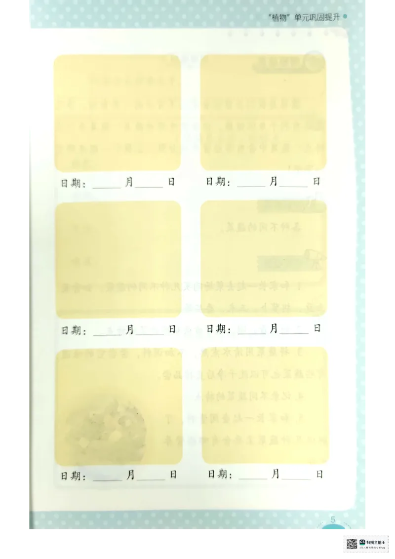 暑假轻松升级科学1升2_2024年人教版小学数学一二三四五六年级上册下册期中期末试a0747_小学全科《同步练习+精品试卷》打包下载（1-6年级单元月考期中期末试卷）_小学科学
