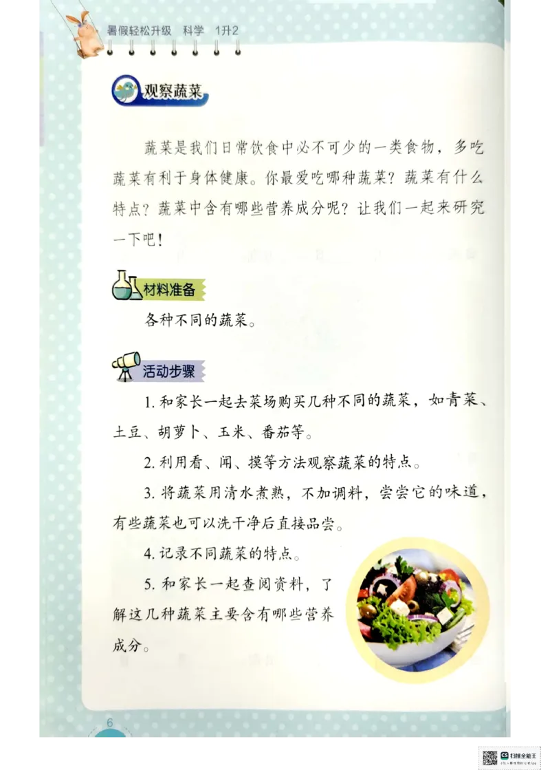 暑假轻松升级科学1升2_2024年人教版小学数学一二三四五六年级上册下册期中期末试a0747_小学全科《同步练习+精品试卷》打包下载（1-6年级单元月考期中期末试卷）_小学科学