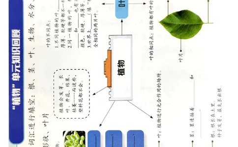 暑假轻松升级科学1升2_2024年人教版小学数学一二三四五六年级上册下册期中期末试a0747_小学全科《同步练习+精品试卷》打包下载（1-6年级单元月考期中期末试卷）_小学科学