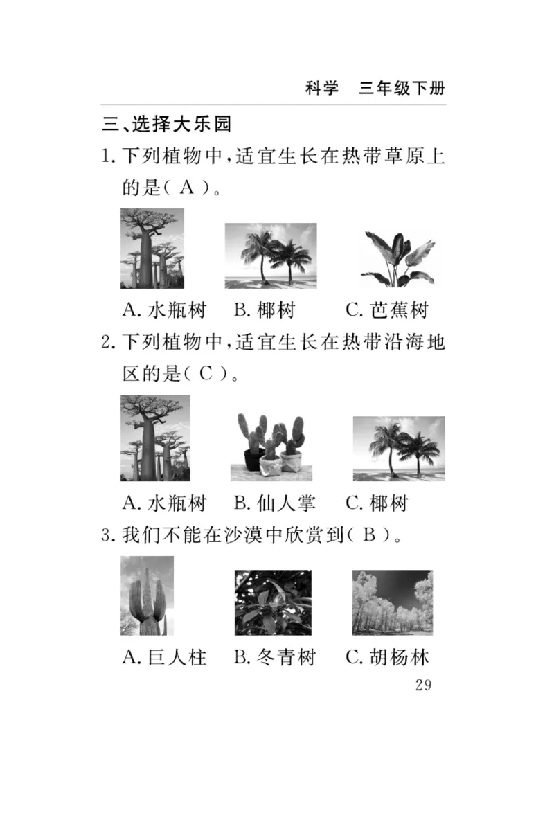苏教版科学三年级下册速记速查_2024年人教版小学数学一二三四五六年级上册下册期中期末试a0747_小学全科《同步练习+精品试卷》打包下载（1-6年级单元月考期中期末试卷）_小学科学