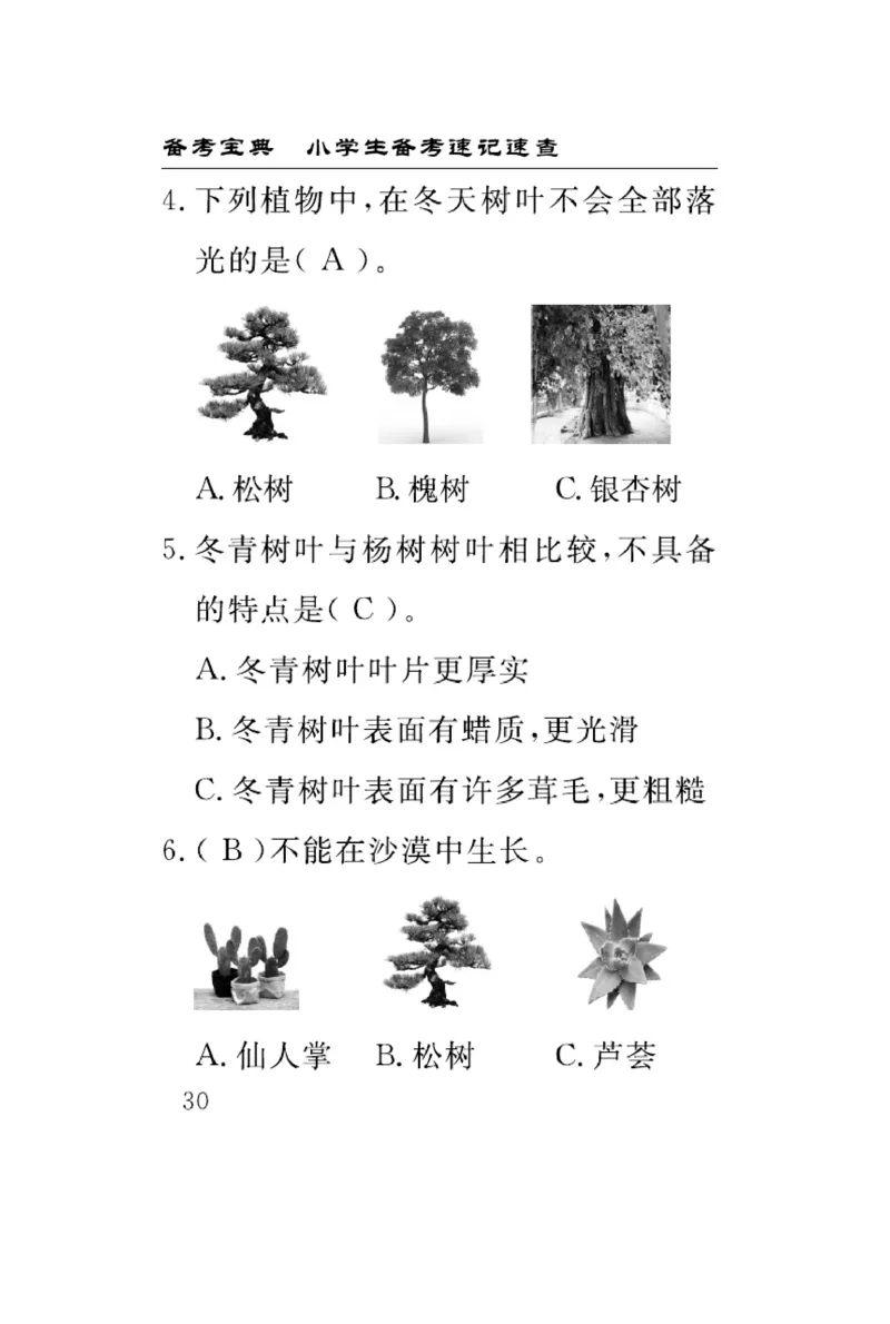 苏教版科学三年级下册速记速查_2024年人教版小学数学一二三四五六年级上册下册期中期末试a0747_小学全科《同步练习+精品试卷》打包下载（1-6年级单元月考期中期末试卷）_小学科学