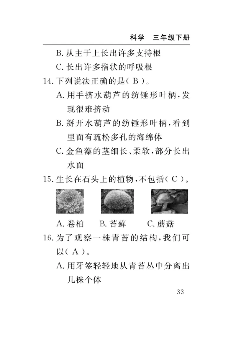 苏教版科学三年级下册速记速查_2024年人教版小学数学一二三四五六年级上册下册期中期末试a0747_小学全科《同步练习+精品试卷》打包下载（1-6年级单元月考期中期末试卷）_小学科学
