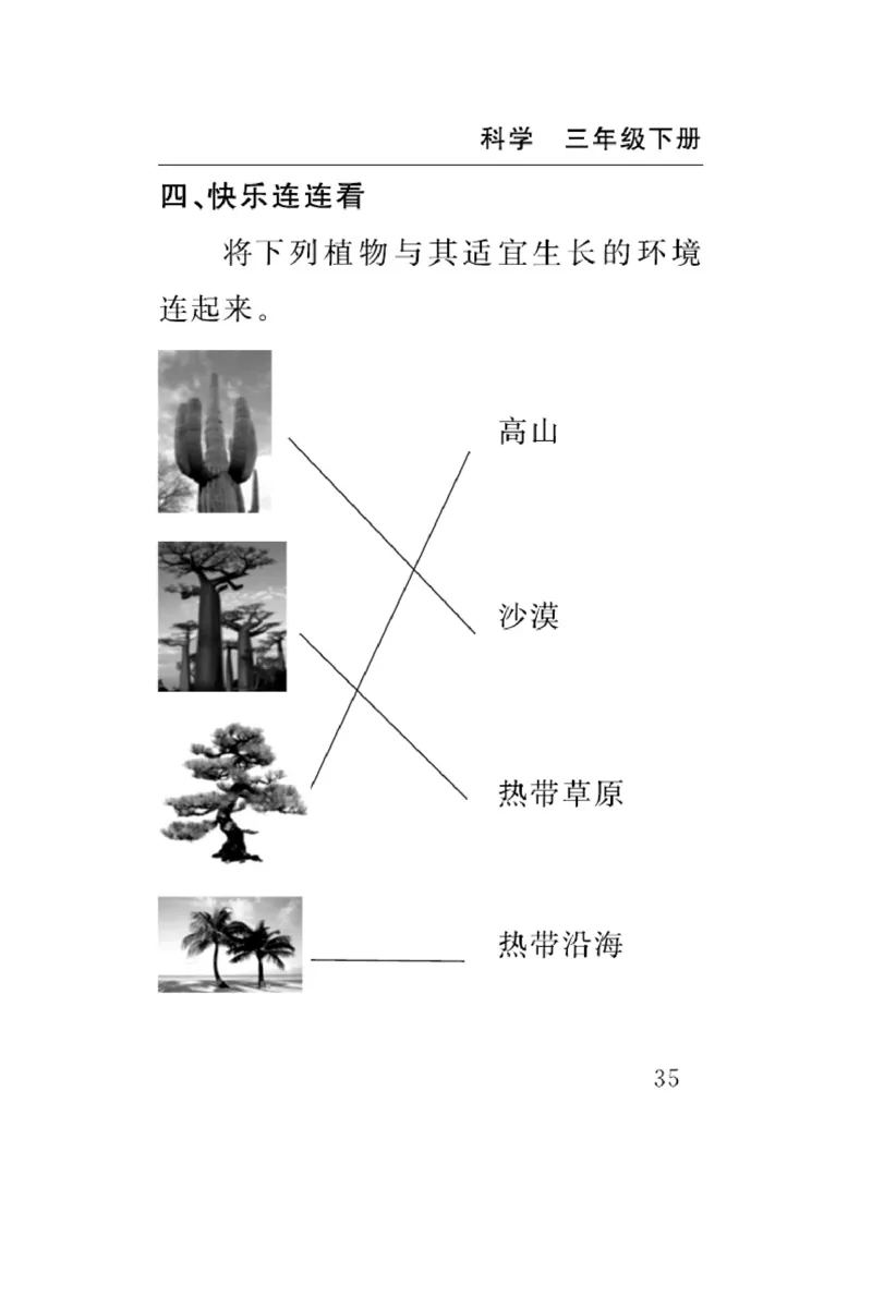 苏教版科学三年级下册速记速查_2024年人教版小学数学一二三四五六年级上册下册期中期末试a0747_小学全科《同步练习+精品试卷》打包下载（1-6年级单元月考期中期末试卷）_小学科学