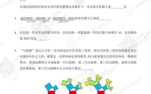2023IHCD-4_希望杯IHC