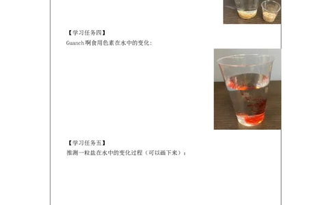 0904二年级科学(湘科版)它溶解了吗-3学习任务单_二年级上下册资料_小学二年级学习资料-25年更新版_2-09、小学二年级科学上册_湘科版_学习任务单