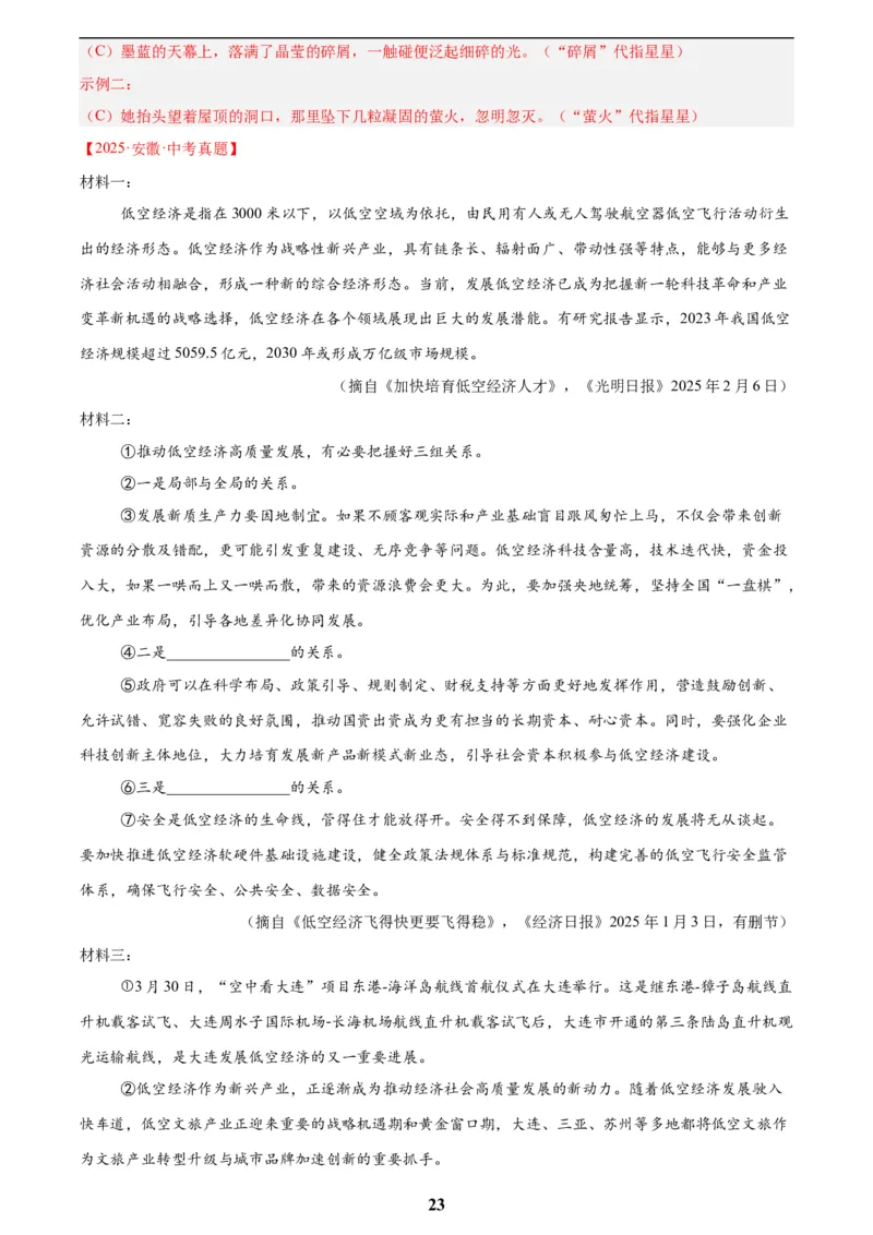 专题23非连续性阅读(解析版)_2023-2025《3年中考1年模拟真题分类汇编》语文