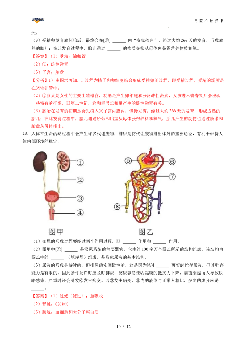 生物（重庆卷）（全解全析）_2025年初中《中考第一次模拟》全国各地区模拟卷（8科全）(1)_2025年《中考第一次模拟卷》初中生物_重庆&radic;_生物（重庆卷）