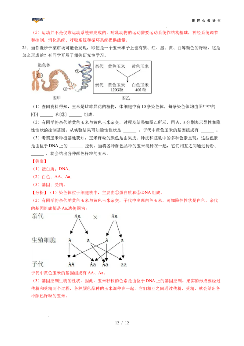 生物（重庆卷）（全解全析）_2025年初中《中考第一次模拟》全国各地区模拟卷（8科全）(1)_2025年《中考第一次模拟卷》初中生物_重庆&radic;_生物（重庆卷）