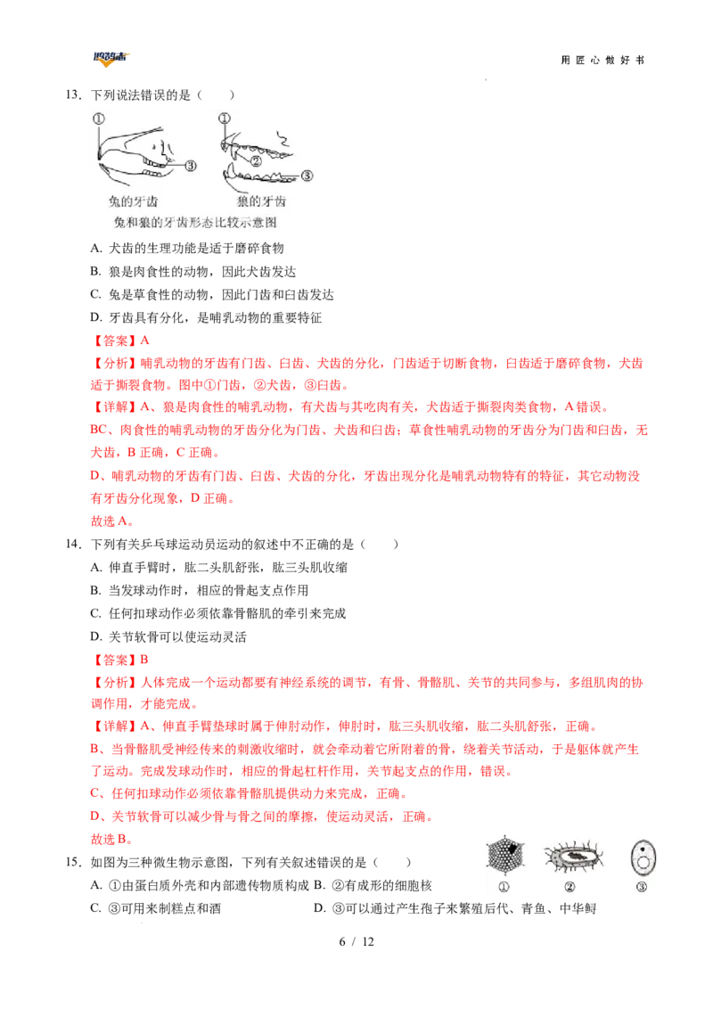 生物（重庆卷）（全解全析）_2025年初中《中考第一次模拟》全国各地区模拟卷（8科全）(1)_2025年《中考第一次模拟卷》初中生物_重庆&radic;_生物（重庆卷）