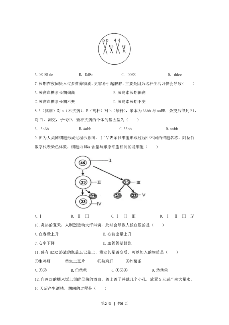 2020年高考生物试卷（上海）（空白卷）_生物历年高考真题_新&middot;PDF版2008-2025&middot;高考生物真题_生物（按试卷类型分类）2008-2025_自主命题卷&middot;生物（2008-2025）_上海自主命题&middot;生物（2008-2022）