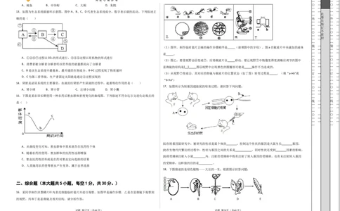 生物（广西卷）（考试版A3）_2025年初中《中考第一次模拟》全国各地区模拟卷（8科全）(1)_2025年《中考第一次模拟卷》初中生物_广西&radic;