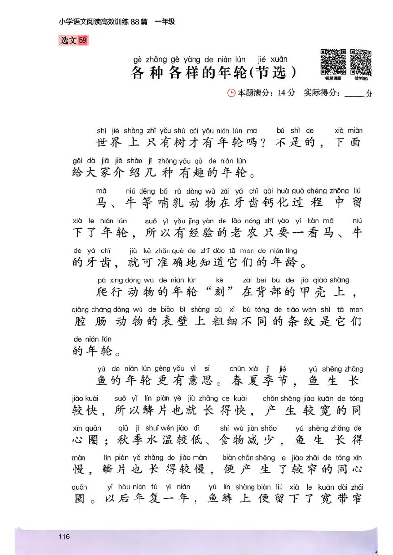 2026一年级木头马88篇高效训练-副本_26版高效阅读88篇一年级