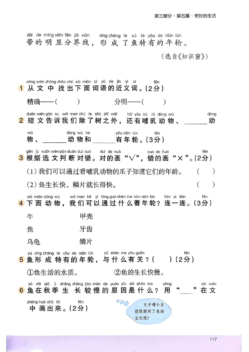 2026一年级木头马88篇高效训练-副本_26版高效阅读88篇一年级