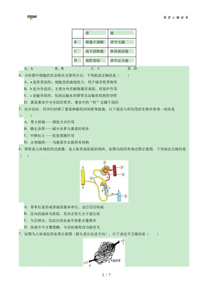 生物（陕西卷）（考试版A4）_2025年初中《中考第一次模拟》全国各地区模拟卷（8科全）(1)_2025年《中考第一次模拟卷》初中生物_陕西&radic;