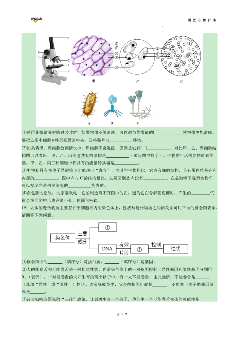 生物（陕西卷）（考试版A4）_2025年初中《中考第一次模拟》全国各地区模拟卷（8科全）(1)_2025年《中考第一次模拟卷》初中生物_陕西&radic;