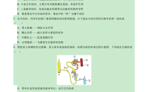 生物（陕西卷）（考试版A4）_2025年初中《中考第一次模拟》全国各地区模拟卷（8科全）(1)_2025年《中考第一次模拟卷》初中生物_陕西&radic;