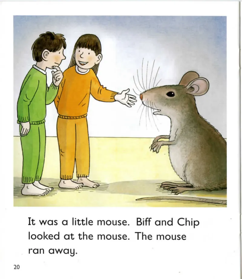 5-01TheMagickey_Frank（小毛怪）老师爆笑阅读单词课（50个故事3000词）_牛津树5级别穿越单词课课件