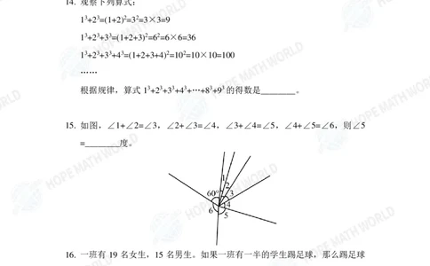 2025IHCJ-3发布版_希望杯IHC